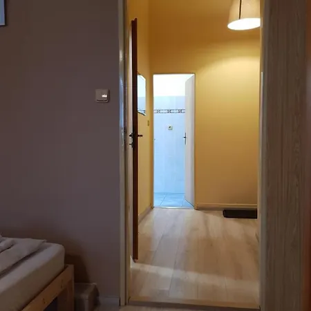 艾丽卡旅馆 招待所 玛丽亚温泉