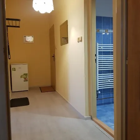 艾丽卡旅馆 玛丽亚温泉