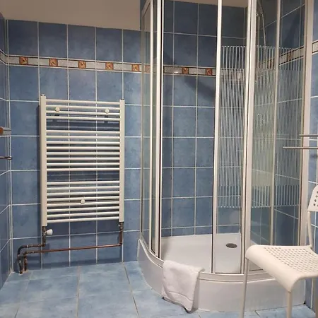 艾丽卡旅馆 3* 玛丽亚温泉