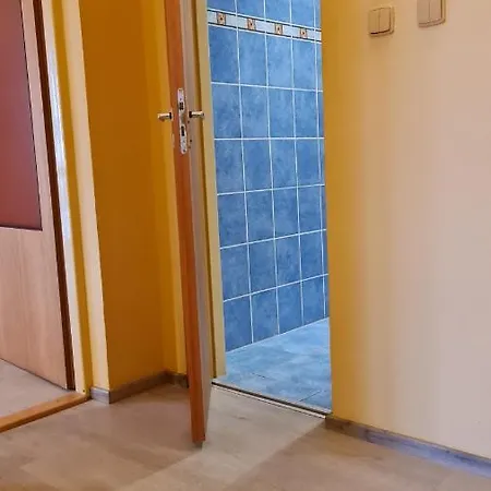 艾丽卡旅馆 招待所