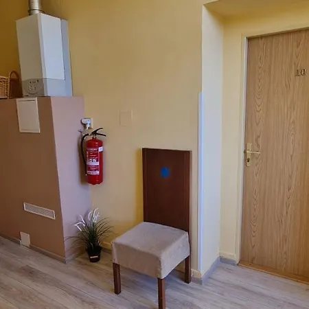 Elektra Guest house Marianske Lazne
