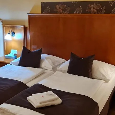 艾丽卡旅馆 玛丽亚温泉