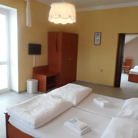 招待所 艾丽卡旅馆 3*