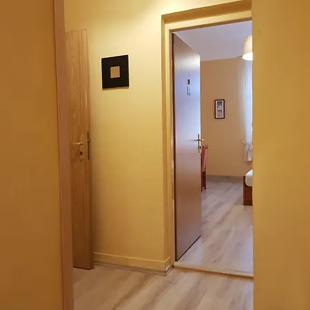 招待所 艾丽卡旅馆 3*