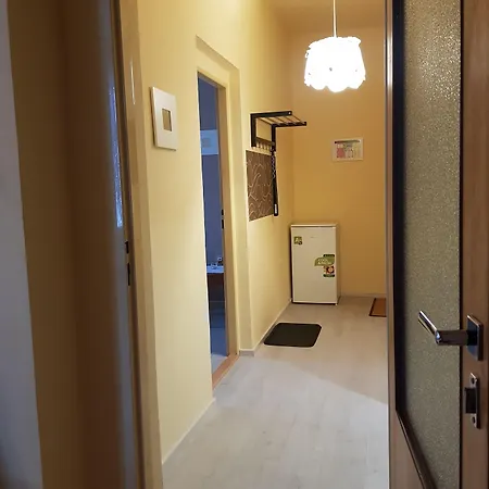 艾丽卡旅馆 招待所 玛丽亚温泉